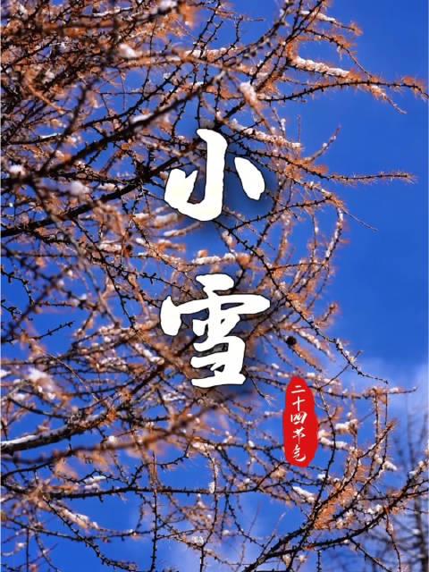 海外华人如何破解地区限制?4K版《小雪》治愈画面背后的技术难题与解决方案