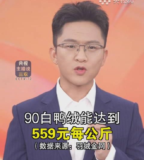 羽绒服价格连年上涨？教你几招省钱又保暖的实用技巧