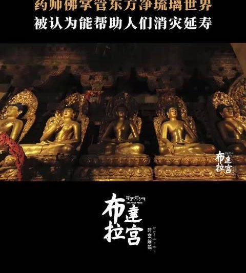海外华人追剧听歌遇阻？布达拉宫药师佛竟藏着破除地域限制的古老智慧