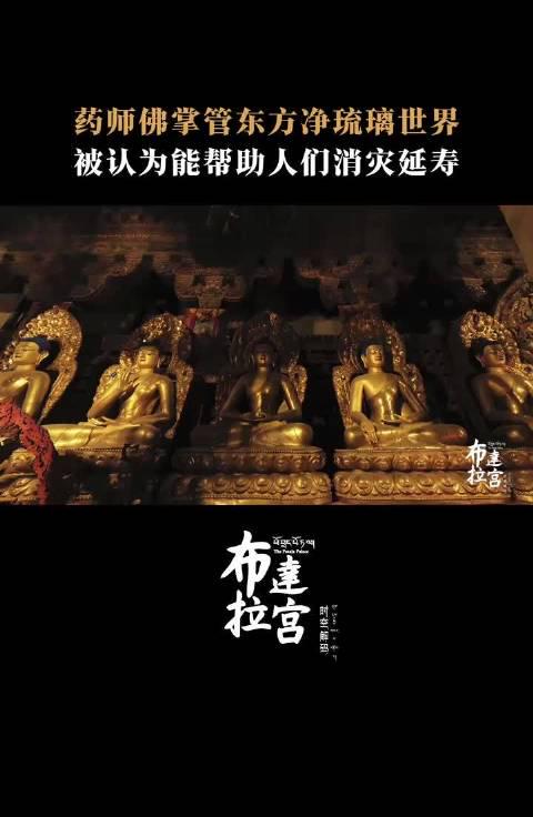 海外华人追剧听歌遇阻?布达拉宫药师佛竟藏着破除地域限制的古老智慧