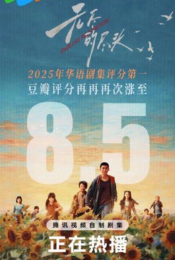 海外华人必看：如何突破地区限制观看豆瓣8.5分神剧《无尽的尽头》完整教程