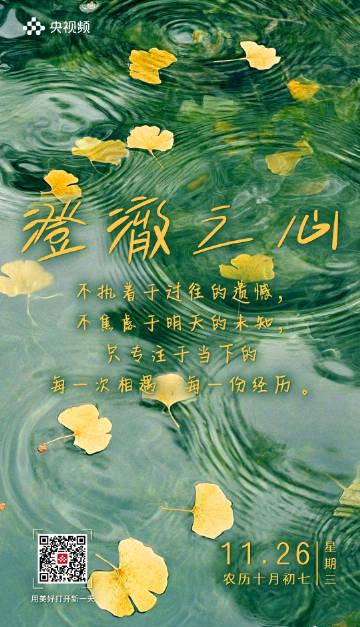 海外华人必看:如何解除地区限制,轻松追剧听歌不卡顿?