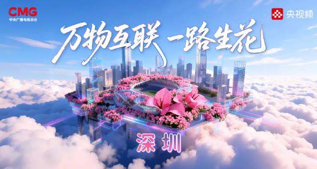 海外华人看国内节目总卡顿?这几招让你轻松解决地域限制烦恼