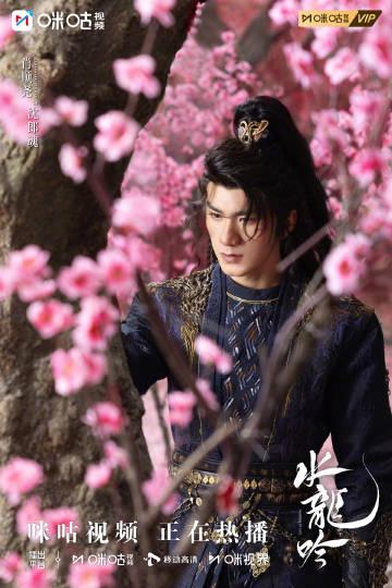 海外追剧党必看!3招教你轻松解锁《水龙吟》等国产热播剧