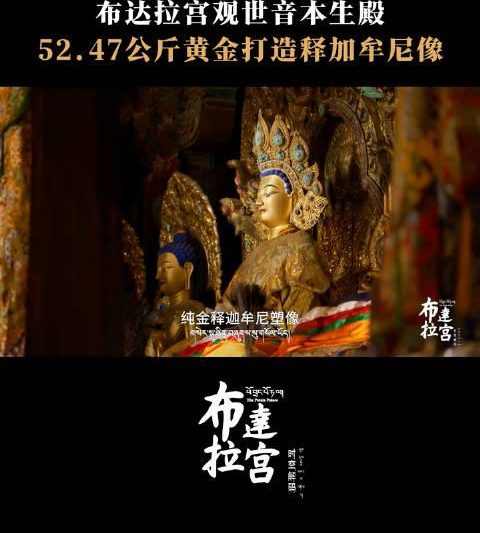 布达拉宫52公斤黄金佛像揭秘，海外华人如何突破地域限制观赏国宝级文物