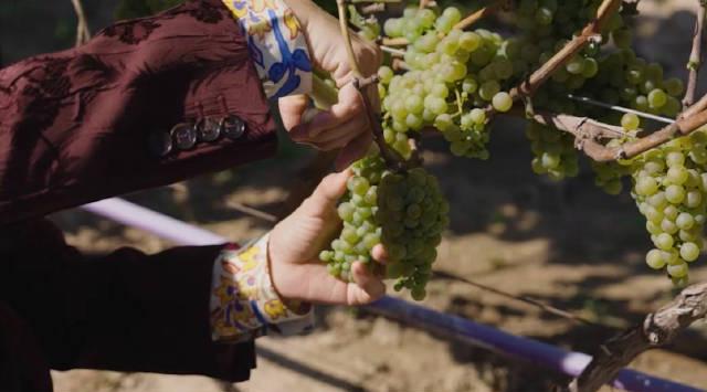 海外华人看国内节目总卡顿？这些方法帮你突破地域限制畅享影音