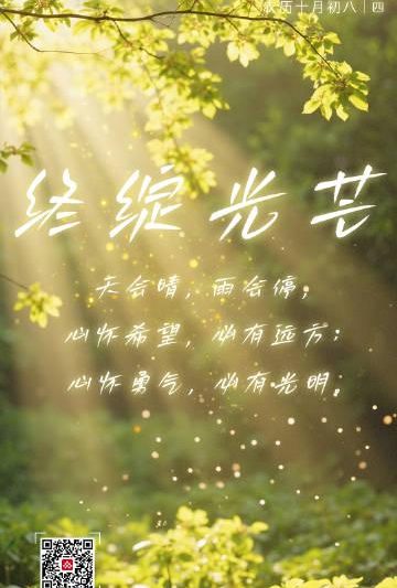 海外华人必看！《向阳而生终绽光芒》暖心上线，教你突破地区限制追剧无压力