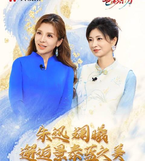 海外党福音！3招教你解锁《色彩东方》等国内限定节目，再也不用担心错过‘沈眉庄’的景泰蓝之约