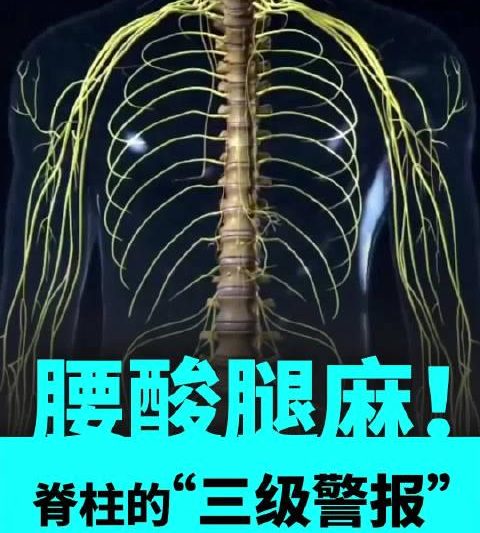 海外追剧党必看！3招教你破解地区限制，轻松解锁国内热门综艺
