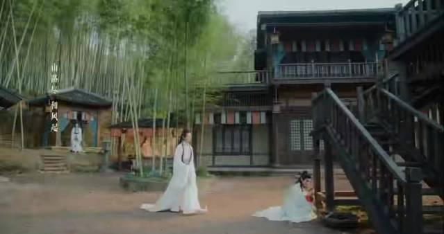 张峻宁《水龙吟》白月光角色解析:海外追剧党必看的人物塑造秘籍