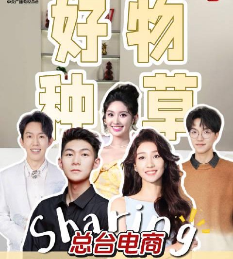 海外华人追剧指南：轻松解锁国内影视资源限制