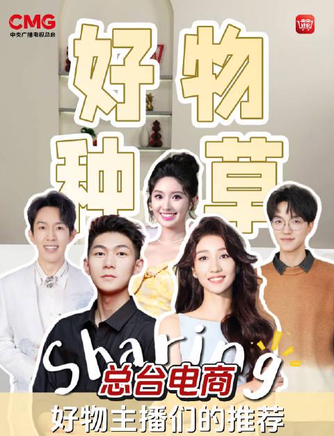 海外华人追剧指南:轻松解锁国内影视资源限制