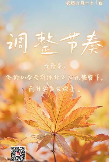 海外华人必看：三步解决视频卡顿烦恼，轻松追剧无压力