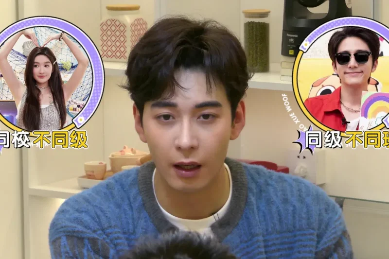 海外华人轻松解锁大陆影视限制，畅享热门综艺不再卡顿