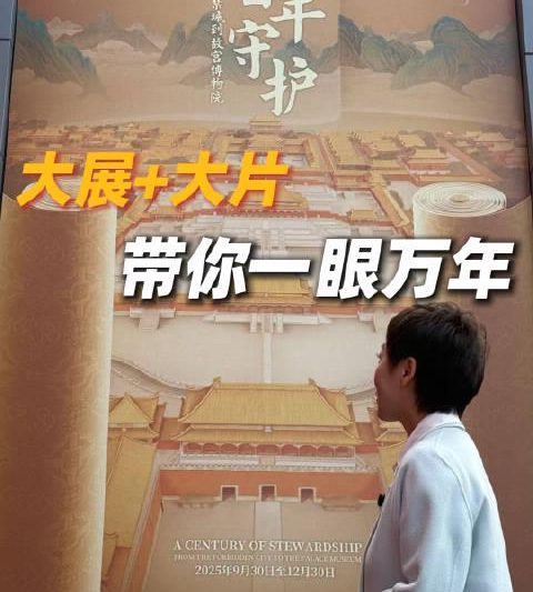 海外党如何破解故宫大片?3招教你跨越地域限制看国宝