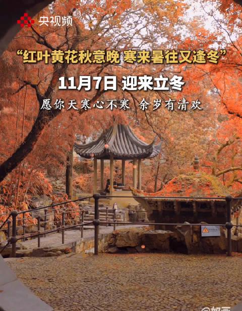 立冬时节海外华人如何突破地区限制观看国内影视综艺节目?实用解决方案来了