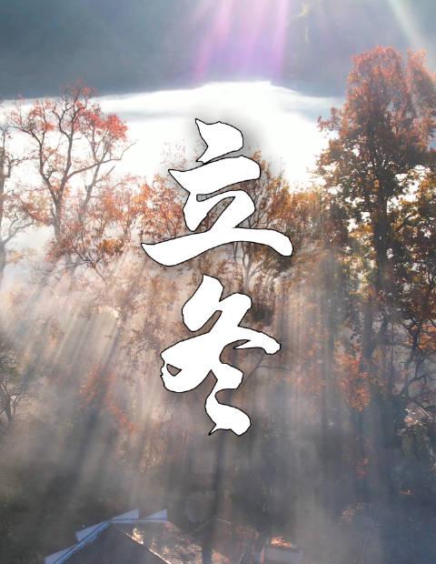 魏晨暖心献声立冬节气,海外华人如何突破地区限制同步观看?