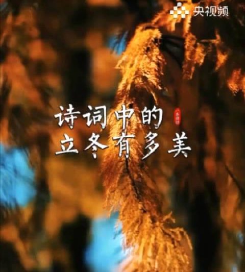 海外华人如何解除地区限制？立冬诗词里的温暖与实用解决方案