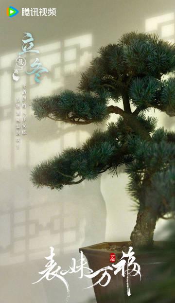 海外华人必看:如何轻松解除国内视频平台地区限制,畅享《表妹万福》等热门剧集