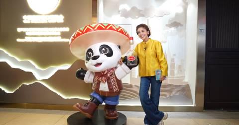 海外华人追剧听歌遇阻?这些方法帮你突破地区限制畅享国内影音