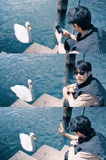 肖战片场暖心一幕曝光!怀抱大黄取暖画面太温柔,网友直呼:骨子里的善良藏不住