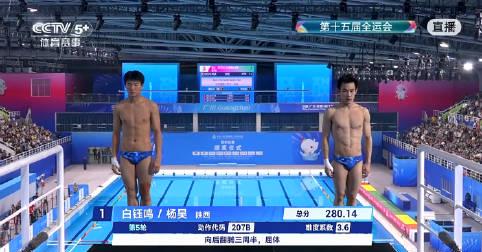 从白钰鸣/杨昊夺冠，聊聊跳水双人项目的默契秘诀