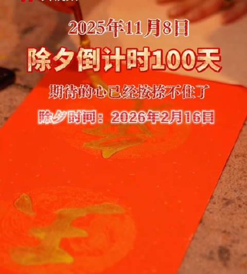 海外华人必看！100天倒计时开启，这份春节追剧攻略请收好