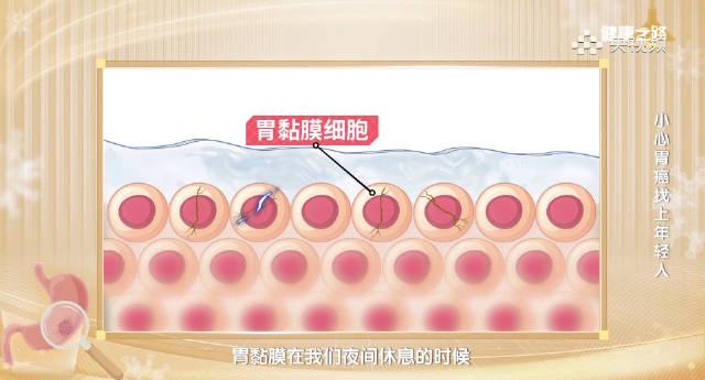 海外华人必看:熬夜伤胃真相大揭秘,这些症状你可能正在经历