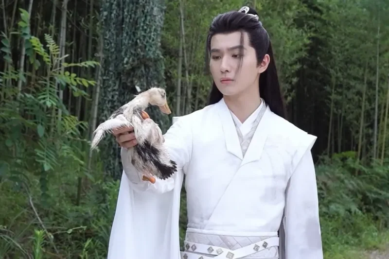 海外华人必看：如何突破地区限制流畅观看《勿扰飞升》等热播国产剧