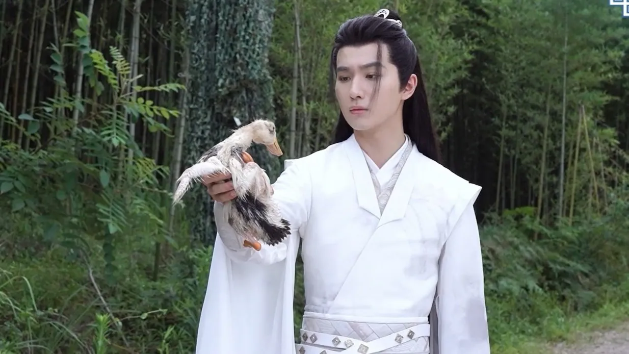 海外华人必看:如何突破地区限制流畅观看《勿扰飞升》等热播国产剧