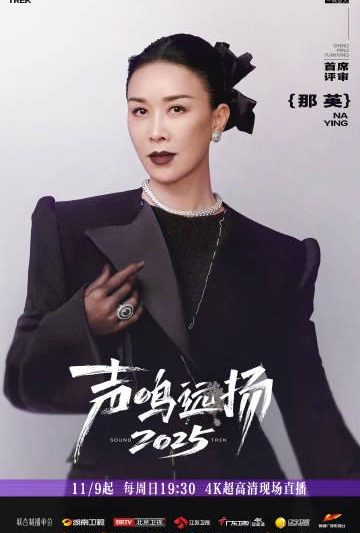 海外华人如何轻松解锁国内热门综艺节目观看限制全攻略