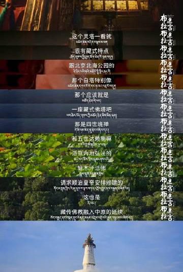 海外华人必看：轻松突破地区限制，畅享国内热门影视音乐综艺节目