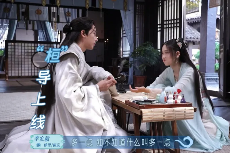 海外华人如何轻松解除地区限制，畅享国内热门影视综艺节目