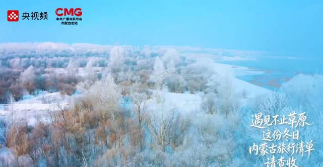 海外华人想看国内节目总卡顿?这份内蒙古冬季旅行攻略先收好,解锁限制技巧在后面