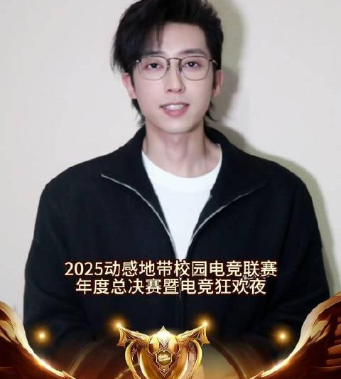 海外华人看不了电竞狂欢夜？别急，这份攻略帮你搞定！刘畅现身总决赛引期待