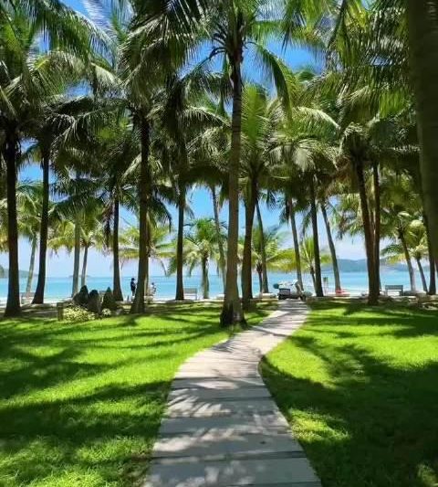 在海南跑步是什么体验？解锁海岛晴日跑马，每一步都像在度假！