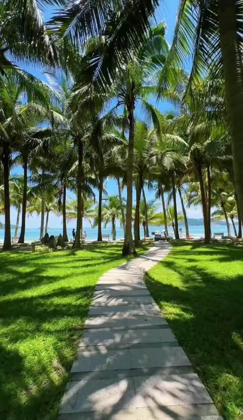 在海南跑步是什么体验?解锁海岛晴日跑马,每一步都像在度假!