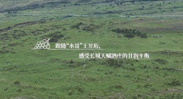 海外党别急!水哥王昱珩新节目《好久不见》上线,手把手教你如何破解“地区限制”追国内综艺