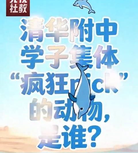清华附中现场秒变科普课堂，中华白海豚电影如何点燃学生热情？
