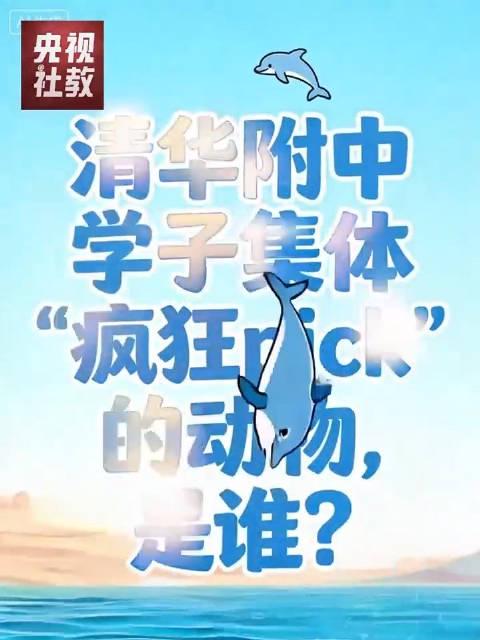清华附中现场秒变科普课堂,中华白海豚电影如何点燃学生热情?