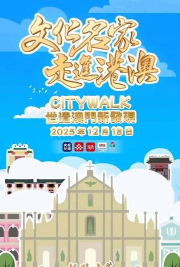 海外华人追剧听歌不再愁！三步破解地区限制，流畅观看国内影视综艺