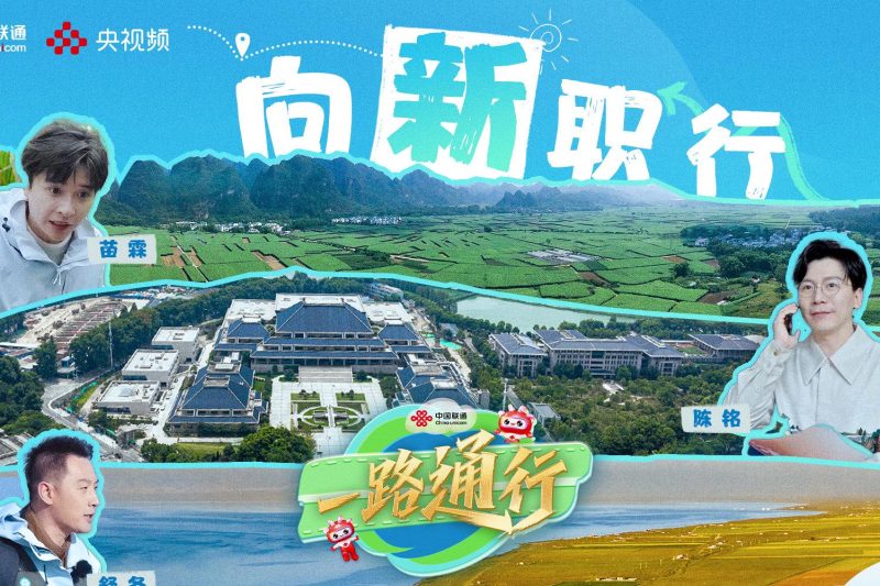 海外华人追剧卡顿太闹心？三招破解国内影视音乐综艺地区限制，流畅观看不是梦