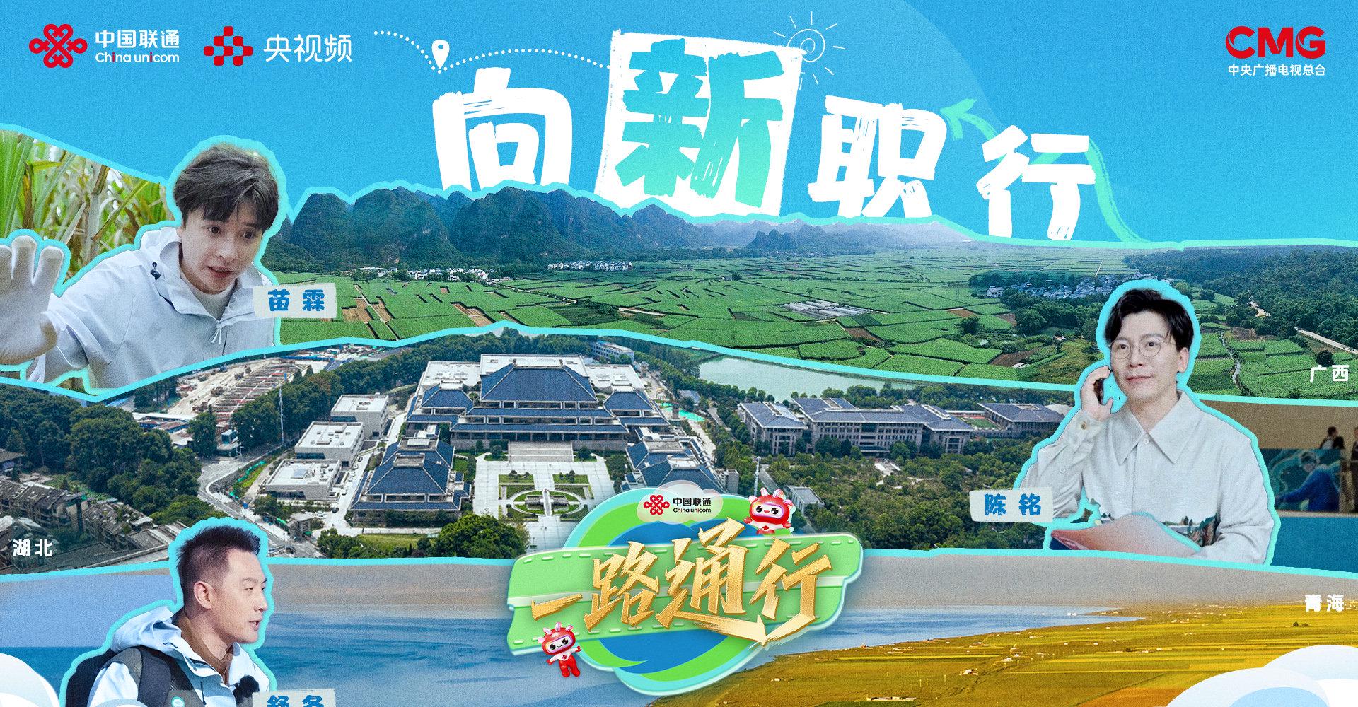 海外华人追剧卡顿太闹心?三招破解国内影视音乐综艺地区限制,流畅观看不是梦