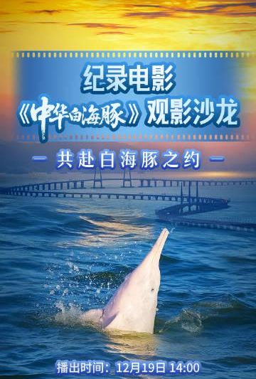 海外华人看不了《中华白海豚》？别急，这份超全解锁攻略请收好！