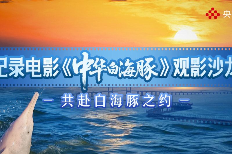 海外华人追剧遇阻？别急，先来看看这部让国际专家都点赞的中国纪录片