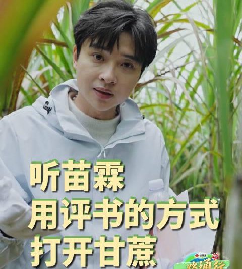 海外华人看不了央视频？别急，一招教你解锁国内音浪江湖！