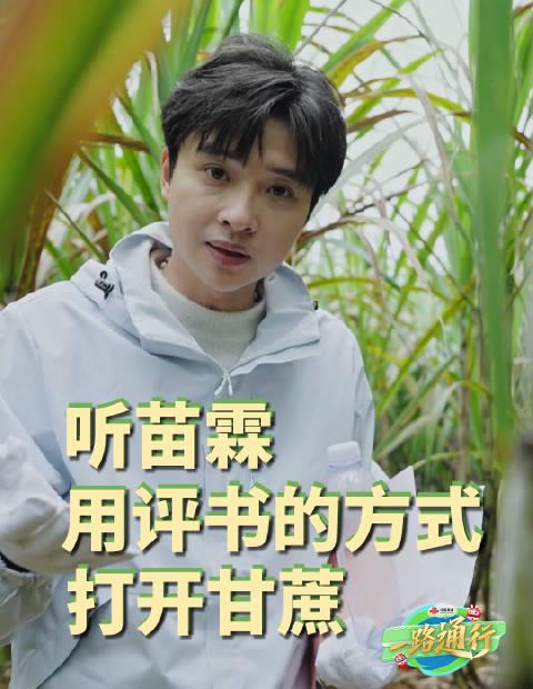 海外华人看不了央视频?别急,一招教你解锁国内音浪江湖!