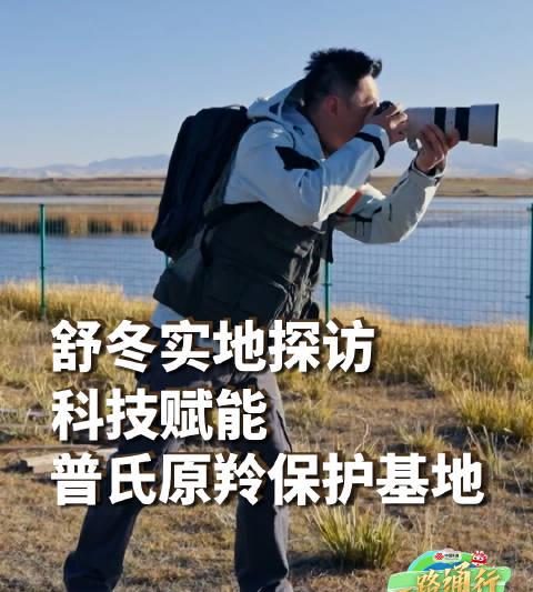 青海湖偶遇萌物竟是牛科国宝？从濒危到复兴，揭秘守护高原精灵的科技力量