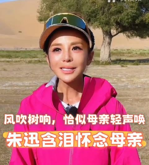 人在海外，如何解锁朱迅《远方的家》这类央视频独家内容？这份实用指南请收好