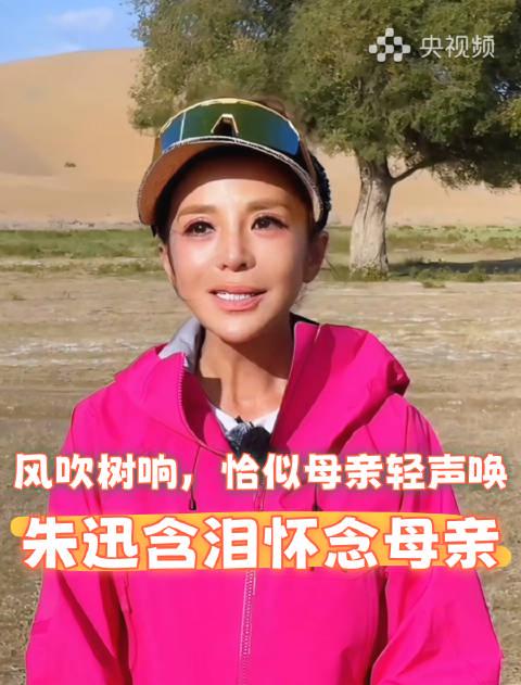 人在海外,如何解锁朱迅《远方的家》这类央视频独家内容?这份实用指南请收好